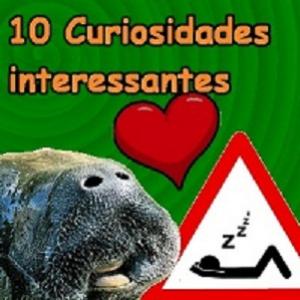 10 curiosidades interessantes que provavelmente você não sabia #4