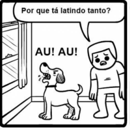 Quando seu cachorro está latindo demais