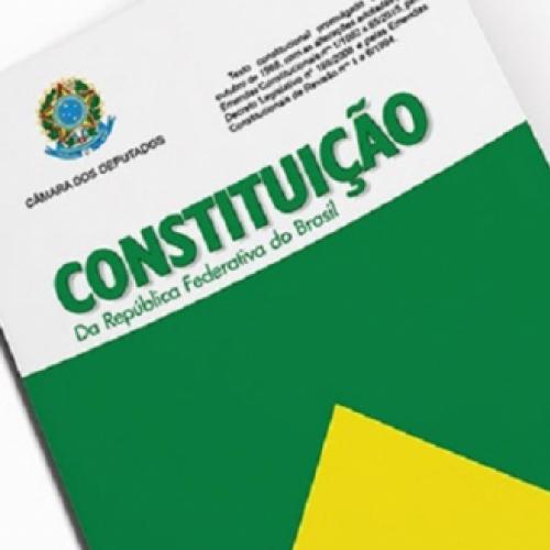 Constituição: conceitos básicos e classificação (2)