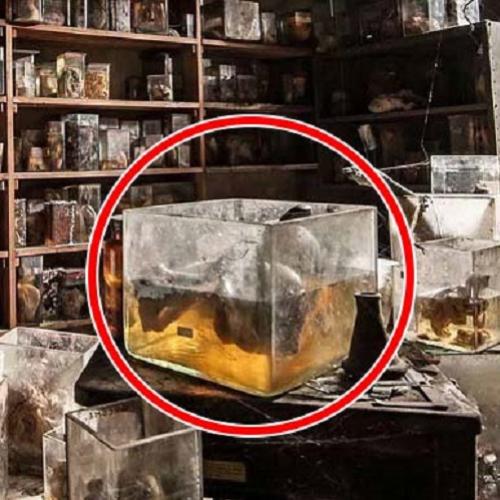 Imagens inéditas e chocantes de um laboratório secreto abandonado!...