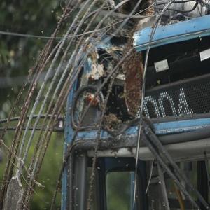 Ônibus bate em poste e abelhas atacam passageiros
