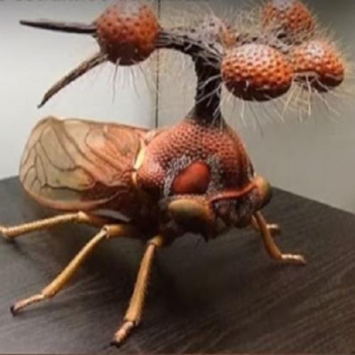  Os 8 insetos mais terríveis e mortais do mundo 
