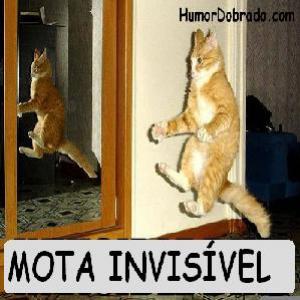 Fotos de momentos estranhos!