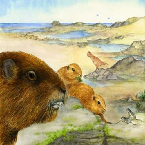 Antigo mamífero marmota?