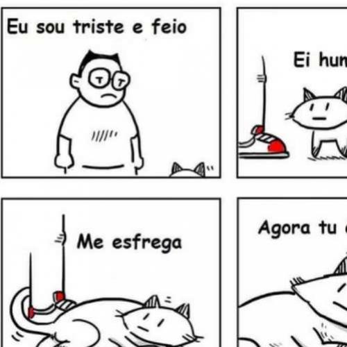  Um gato sábio