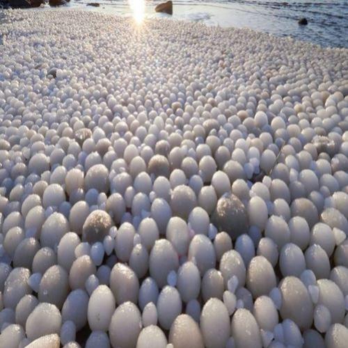 Milhares de ovos de gelo aparecem em praia na Finlândia