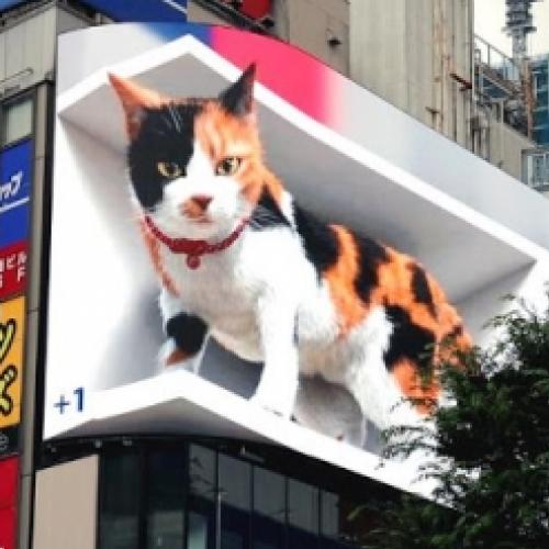 Veja o outdoor de gato gigante que foi viral