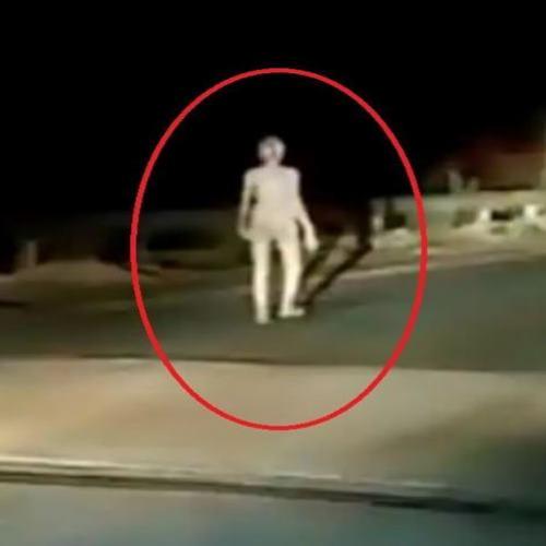 Alien ou fantasma? Estranha criatura é filmada em estrada na Índia