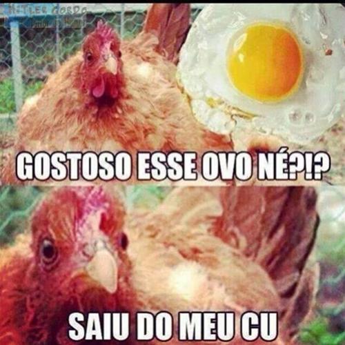 Gostoso o ovo ?