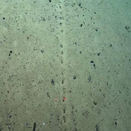 Buracos misteriosos no fundo do oceano intrigam investigadores