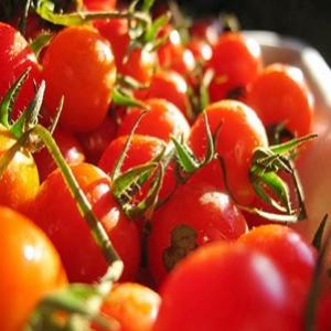 Tomate pode espantar a depressão, segundo pesquisa