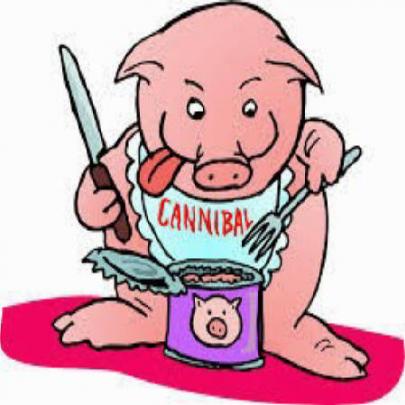 A canibalização dos porcos e a alimentação dos homens