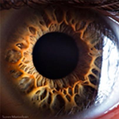 Fotografias do olho humano