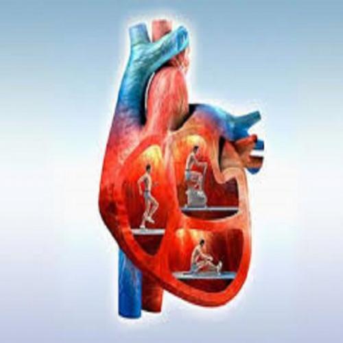 Aposte nestes exercícios para a saúde do seu coração