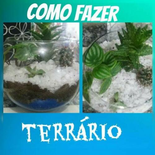 COMO FAZER UM TERRÁRIO