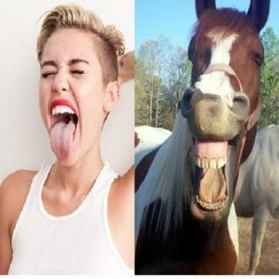 Cavalos imitando Miley Cyrus 