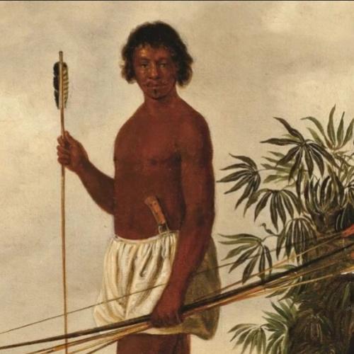 No Memorial Vale, exposição traz de volta a Minas crânio do homem de L