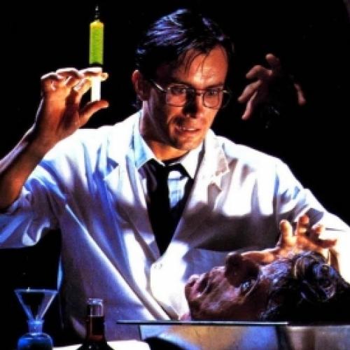 Conheça os 10 filmes essenciais do diretor de Re-animator