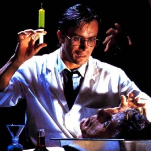 Conheça os 10 filmes essenciais do diretor de Re-animator