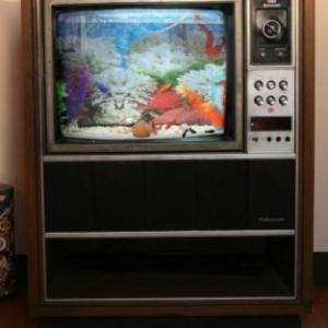 Impressionante transformação de uma velha televisão em um aquário