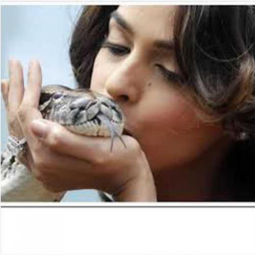 Mulher tenta beijar cobra só que a cobra beija primeiro