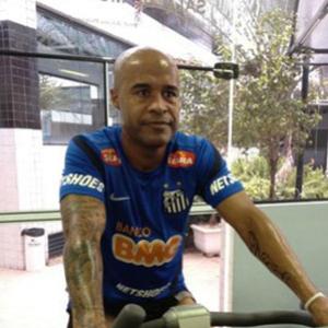 Marcos Assunção vai jogar no Santos