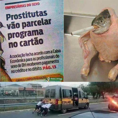 As imagens aleatórias mais engraçdas dessa semana #17