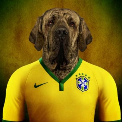 17 jogadores da Copa do Mundo 2014 substituídos por cães