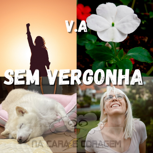 [NCP 100] V.A - Sem Vergonha