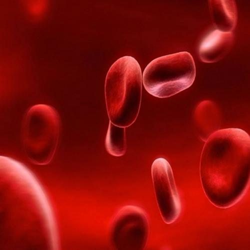 Sangue sintético será testado em humanos nos próximos dois anos