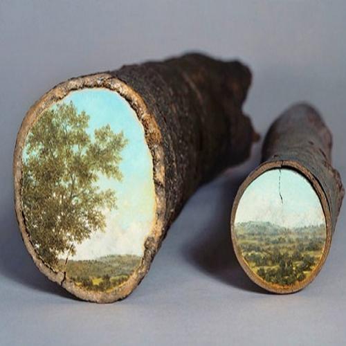 Pinturas em troncos de árvores refletem paisagens como espelhos