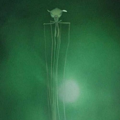 Monstrengo do fundo do mar parece um alien e pode ser parente dos dino