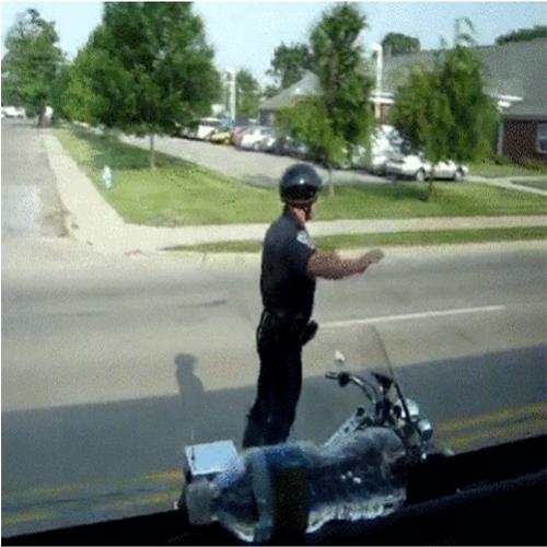 Melhor policial que você já viu