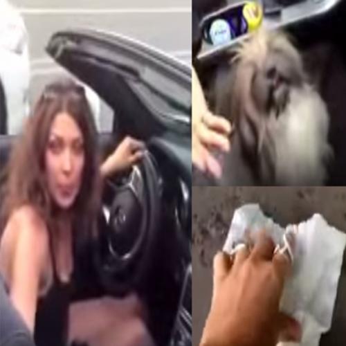 Russa se vinga de mulher que não recolheu o cocô do cãozinho na rua.