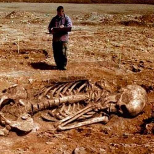 Descoberto fóssil de gigante na Grécia