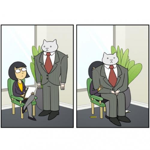 As aventuras do gato executivo
