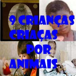  Conheça as crianças que foram criadas por animais 