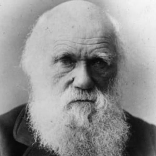 Pessoas influentes na Biologia - Charles Darwin