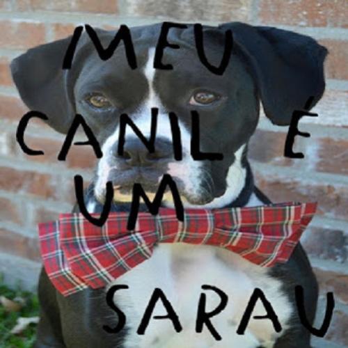 Meu Canil é um Sarau (poema de Tiago Malta)