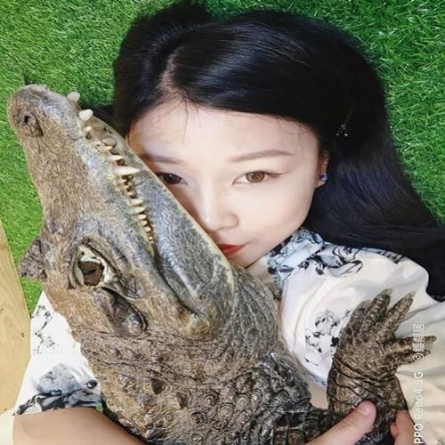 Garota em Taiwan tem 6 crocodilos em casa como animal de estimação