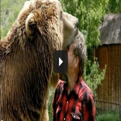 Adestrador americano mostra como vive com 4 ursos gigantes de estimaçã