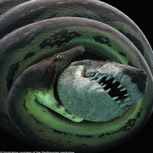 Cobra de 15 metros de comprimento, capaz de comer um crocodilo inteiro