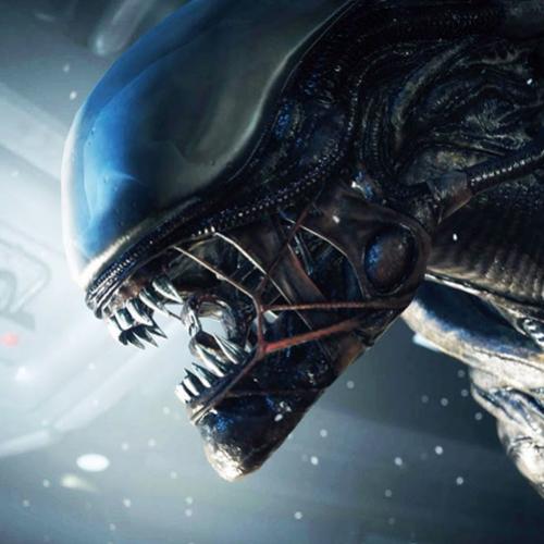 Alien 5 será dirigido pelo mesmo diretor de Distrito 9 e Chappie