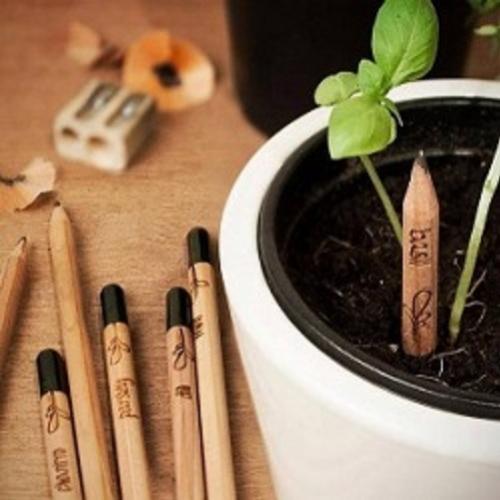Sprout– Lápis para Plantar