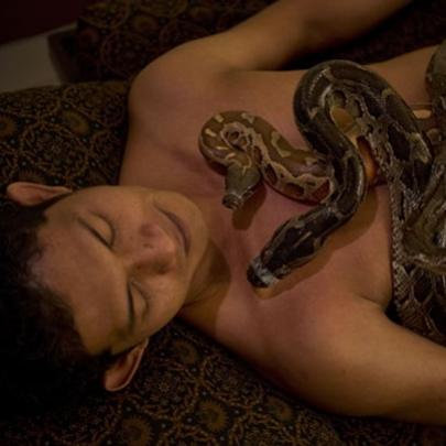 Massagem corporal com cobras atrai estrangeiros