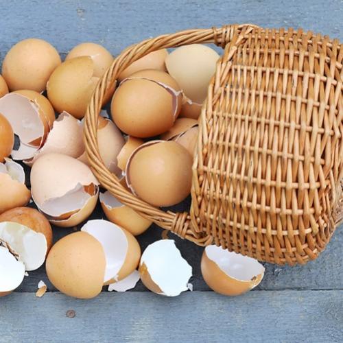 Não coloque todos seus ovos numa única cesta