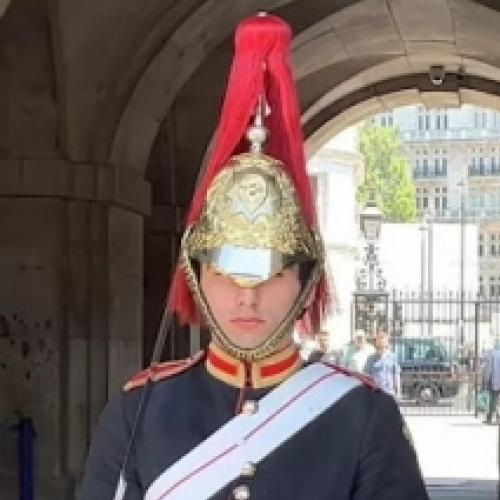 Guarda inglês surpreende turista com síndrome de Down