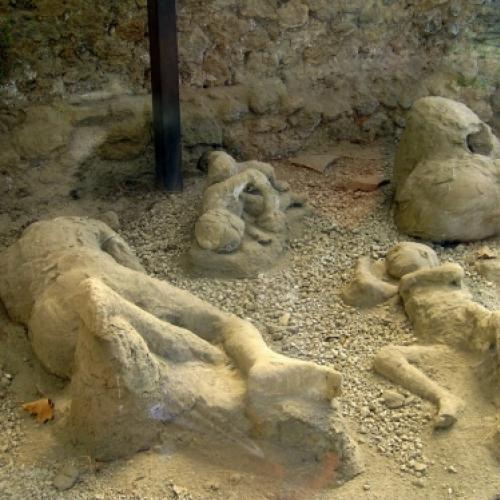 Arqueólogos encontraram cavalos petrificados em Pompéia.