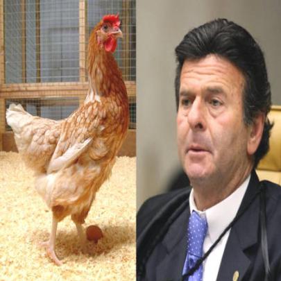 O galo, a galinha e a Justiça