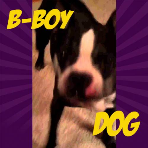 B-boy Dog
